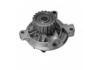 Water Pump:074121004